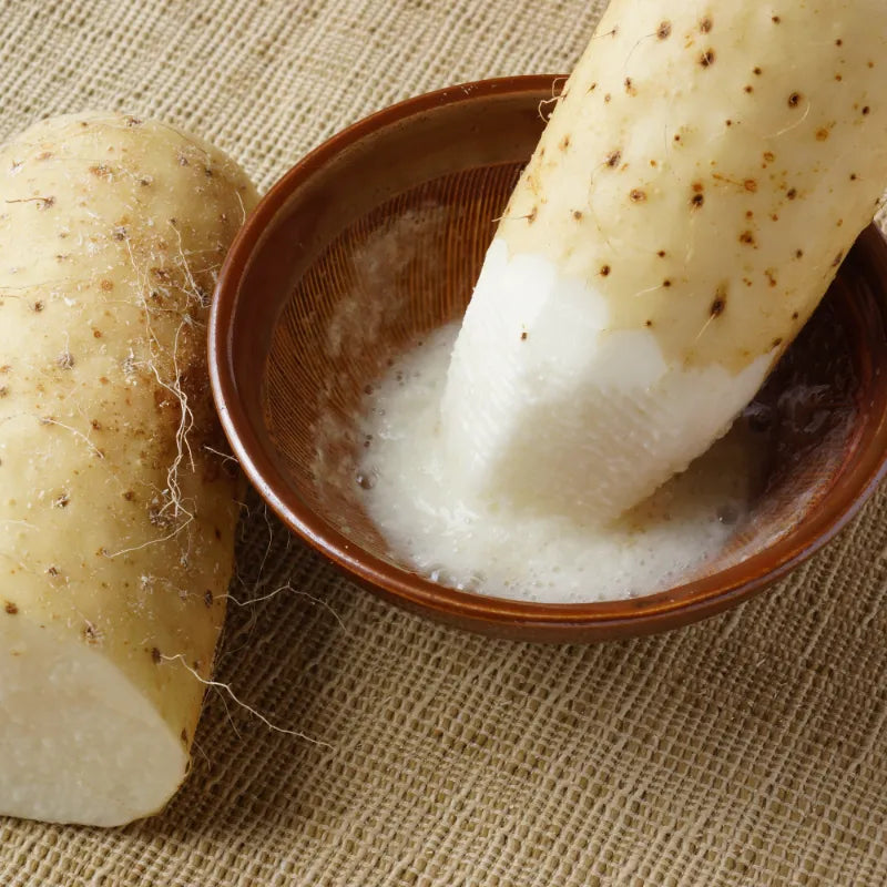 北海道小清水町産・長芋5kg（4〜6本入り／送料込み）を追加しました