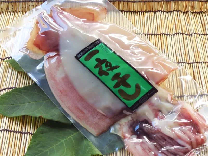 北海道のイカ・タコ
