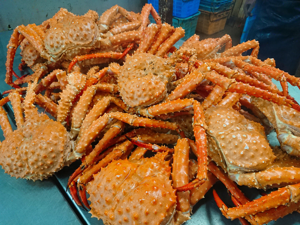幻のいばらがに – マリン北海道のカニ通販