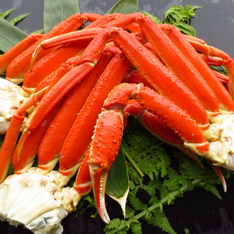 ズワイガニ ボイル 太脚 5L相当 4～5肩 約2kg 冷凍 特大サイズ