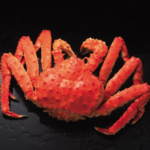 taraba_300x.jpg?v=1614667217